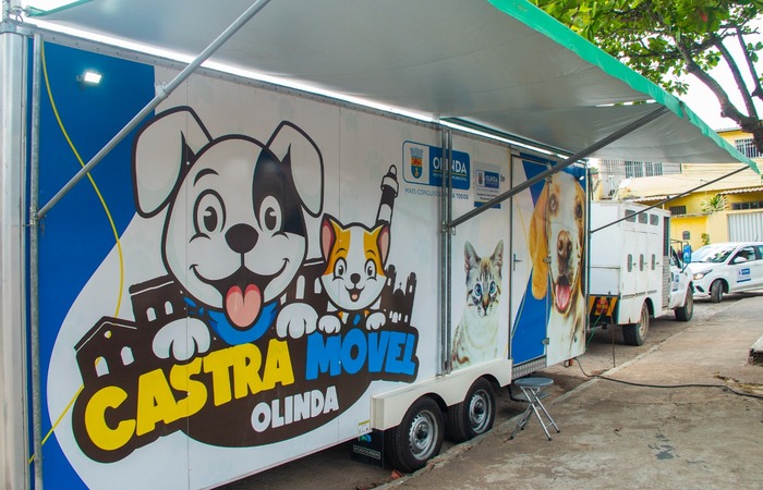 /Foto: Divulgação. /Foto: Divulgação.