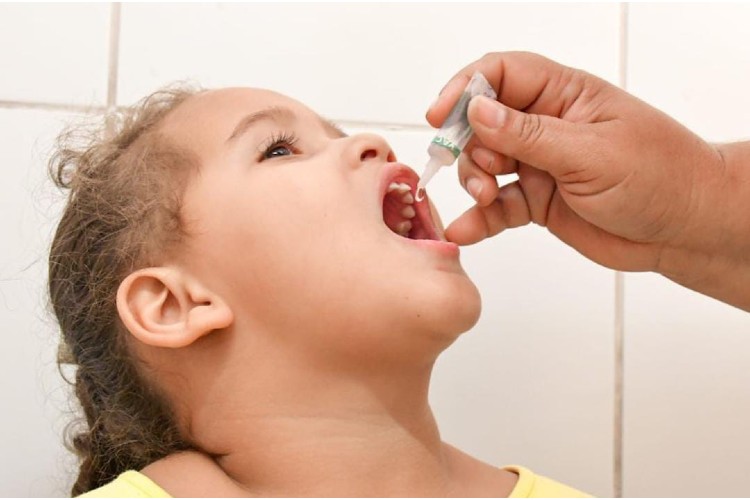 A vacina&ccedil;&atilde;o segue acontecendo at&eacute; o dia 30 de outubro./Divulga&ccedil;&atilde;o