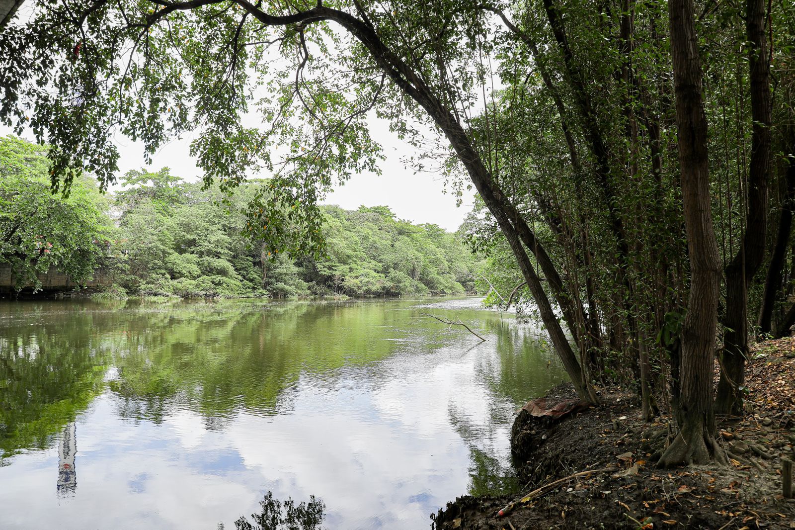 Cais da Vila Vintém ficará em área próxima ao Museu Murillo la Greca e abaixo da Ponte do Vintém/Edson Holanda/PCR Cais da Vila Vintém ficará em área próxima ao Museu Murillo la Greca e abaixo da Ponte do Vintém/Edson Holanda/PCR