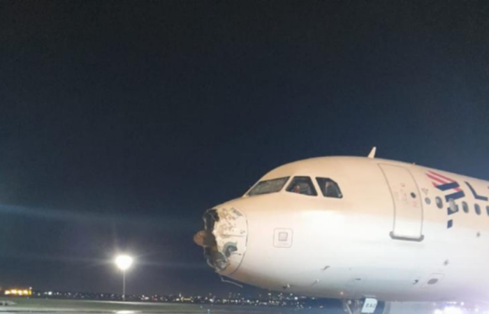 /Foto: Material Concedido