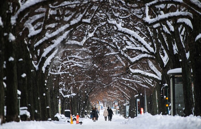 Pessoas passeiam entre árvores cobertas de neve em Estocolmo, na Suécia/Crédito: Jonathan Nackstrand/AFP Pessoas passeiam entre árvores cobertas de neve em Estocolmo, na Suécia/Crédito: Jonathan Nackstrand/AFP
