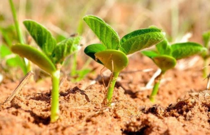 Pasta será baseada no antigo Ministério do Desenvolvimento Agrário, mas terá outro nome. Primeiro relatório da transição sobre o tema deve sair na próxima terça (29)/Crédito: Reprodução/C.B Pasta será baseada no antigo Ministério do Desenvolvimento Agrário, mas terá outro nome. Primeiro relatório da transição sobre o tema deve sair na próxima terça (29)/Crédito: Reprodução/C.B
