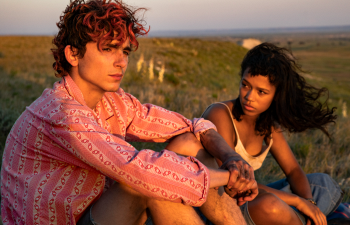 /Filme dirigido por Luca Guadagnino (Me Chame pelo Seu Nome e Suspiria) tem Timothée Chalamet e Taylor Russell nos papéis principais. MGM/Divulgação. /Filme dirigido por Luca Guadagnino (Me Chame pelo Seu Nome e Suspiria) tem Timothée Chalamet e Taylor Russell nos papéis principais. MGM/Divulgação.