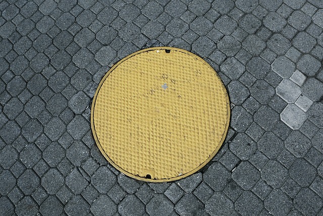 /Foto: Reprodução/Pixabay /Foto: Reprodução/Pixabay