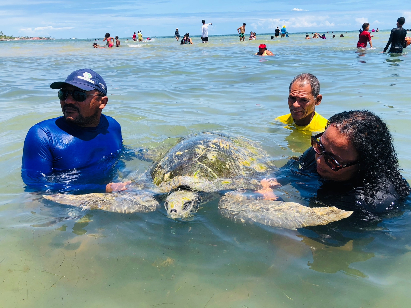 O primeiro resgate teve o retorno do animal ao mar, mas após algumas horas ele retornou a encalhar em outro ponto da praia.