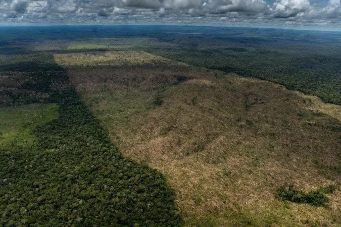 Na temporada 2020-2021, per&iacute;odo que engloba agosto de 2020 a julho de 2021, foram 13 mil km&sup2; de &aacute;rea sob alerta de desmatamento, maior n&uacute;mero desde 2006./Foto: Christian Braga / Greenpeace Brasil