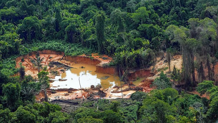  GARIMPO: ação coordenada do governo federal no território Yanomami encontra comunidade de povo indígena isolado (Moxihatëtë). Eles vivem a apenas 15 km de um ponto de garimpo. -