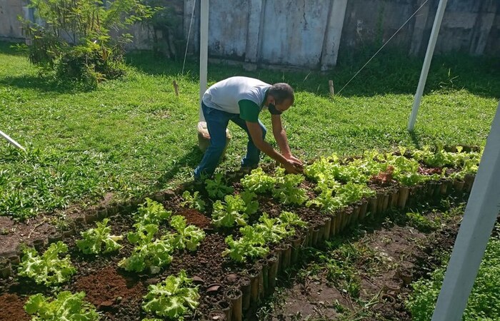 Valor individual que pode ser comercializado pelos agricultores familiares passa de R$ 12 mil para R$ 15 mil/Foto: Divulgação/MDS Valor individual que pode ser comercializado pelos agricultores familiares passa de R$ 12 mil para R$ 15 mil/Foto: Divulgação/MDS