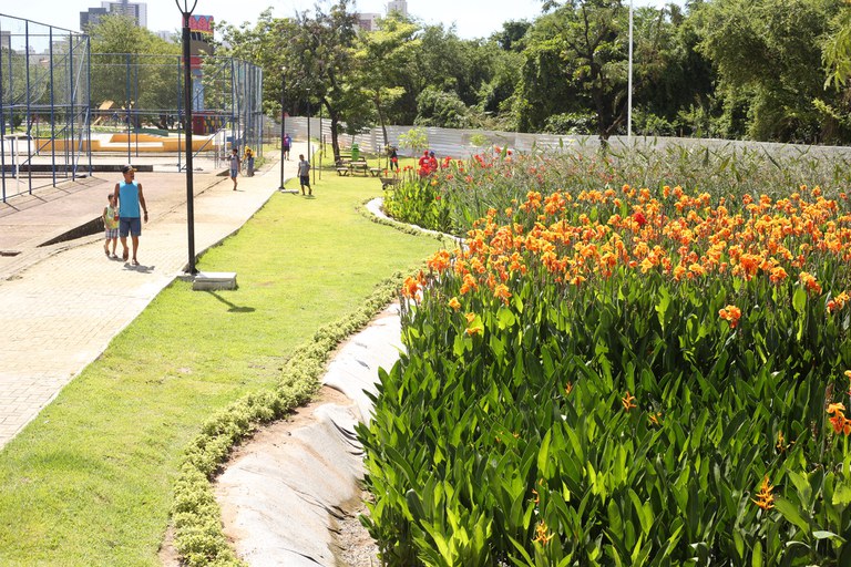 Projeto de cooperação internacional CITinova, coordenado pelo MCTI, implantou jardins filtrantes que podem melhorar a qualidade da água em até 95%/Divulgação Projeto de cooperação internacional CITinova, coordenado pelo MCTI, implantou jardins filtrantes que podem melhorar a qualidade da água em até 95%/Divulgação