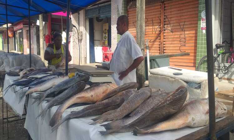 O local vai funcionar at&eacute; &agrave;s 13h da pr&oacute;xima sexta (7) ao lado do mercado p&uacute;blico/Foto: Analu Pereira / Prefeitura de Olinda