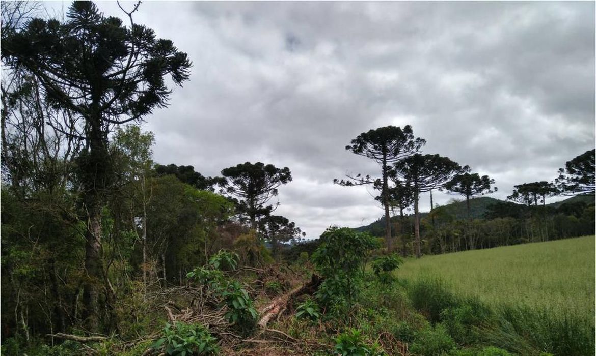 (Foto: MPRS / Divulgação) /Foto: MPRS / Divulgação