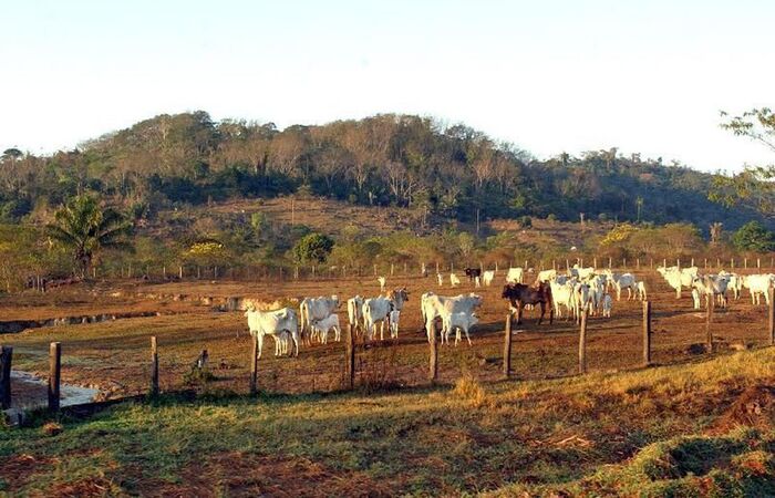 /Foto: Marcello Casal jr/Agência Brasil /Foto: Marcello Casal jr/Agência Brasil