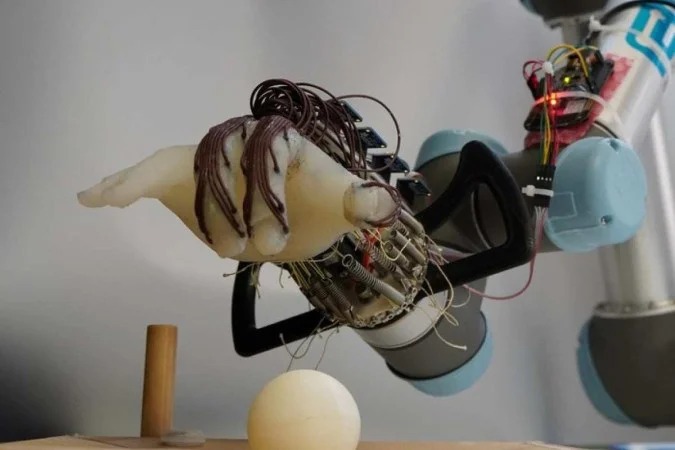 /Foto: University of Cambridge