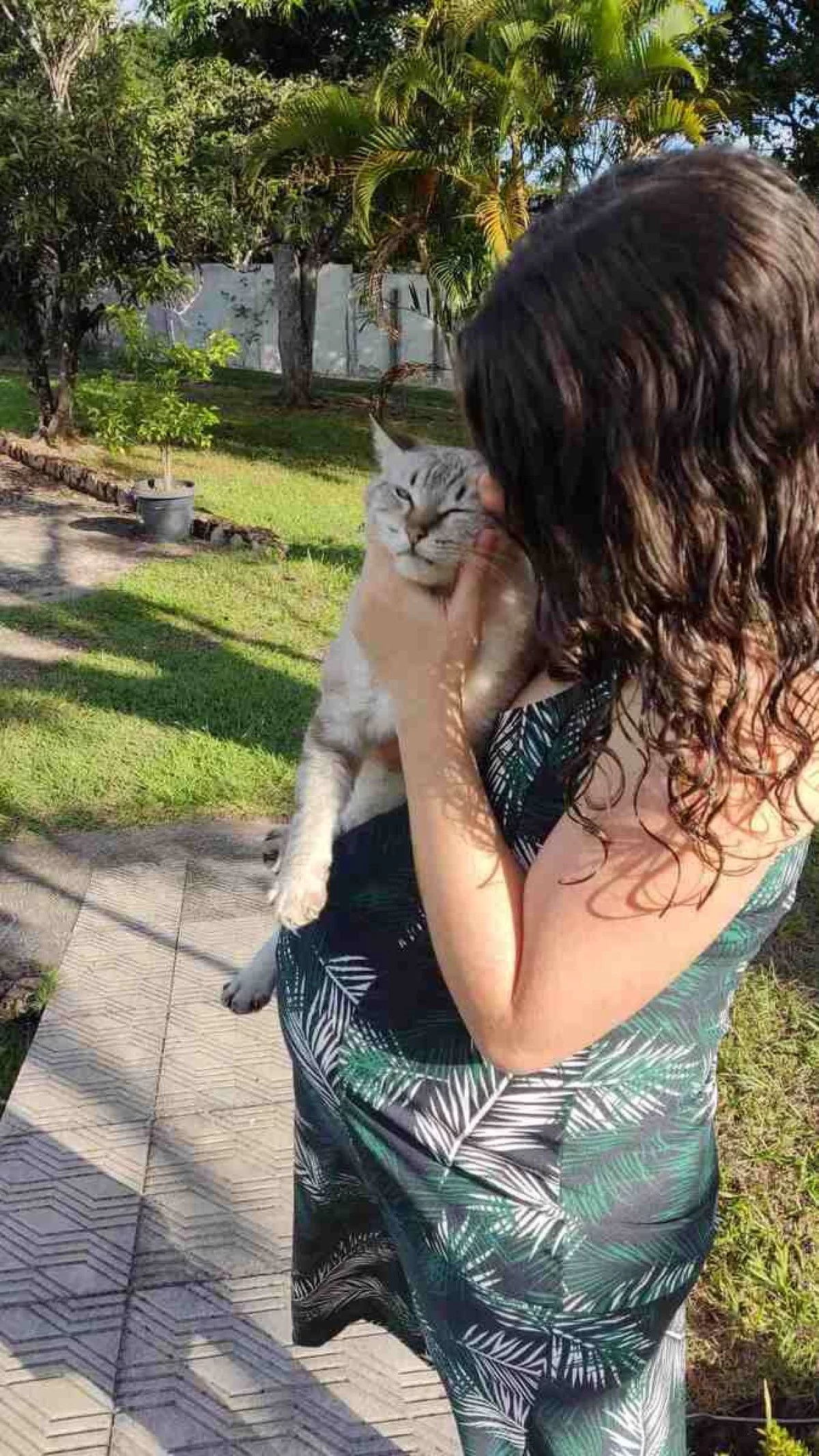 Izabela abraçando Manteiga na sua terceira gravidez O primeiro filho de Izabela brincando com a gatinha -