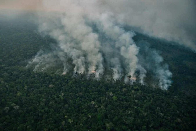 /Foto: Christian Braga/Greenpeace