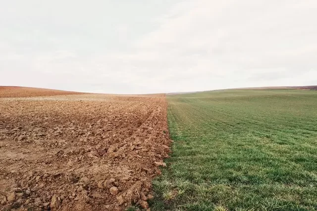 /Elizabeth Lies/Unsplash
