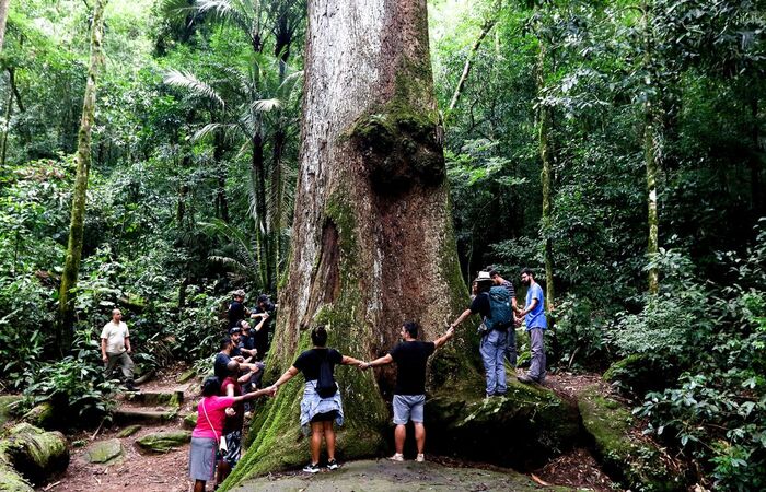 Cinco estados têm 91% do desmatamento, entre eles, Bahia e Minas/Crédito: Tânia Rêgo/Agência Brasil Cinco estados têm 91% do desmatamento, entre eles, Bahia e Minas/Crédito: Tânia Rêgo/Agência Brasil