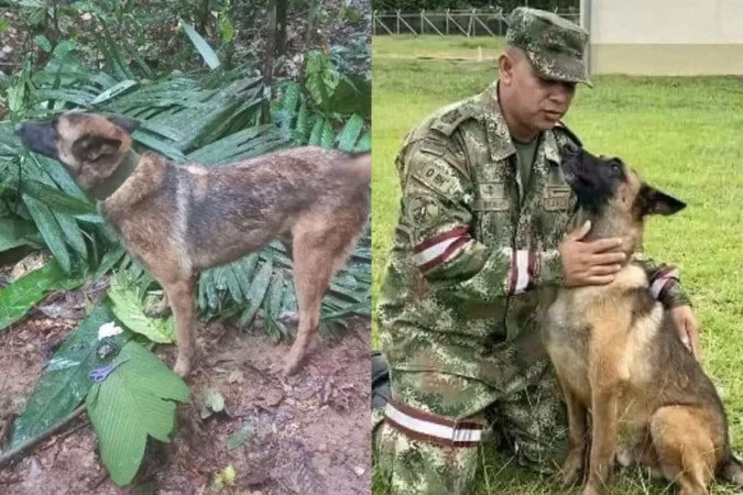 /Foto: Divulgação/Fuerzas Militares de Colombia /Foto: Divulgação/Fuerzas Militares de Colombia