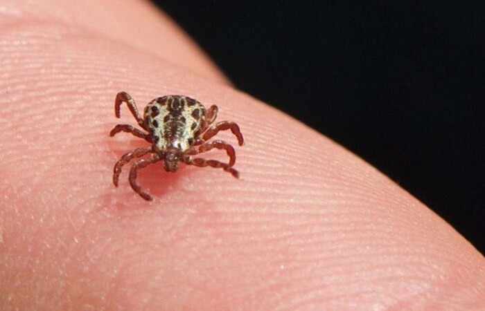 Em rela&ccedil;&atilde;o a &oacute;bitos, dos 723 no Brasil, 623 foram no Sudeste/Cr&eacute;dito: Jerry Kirkhart/Wikimedia