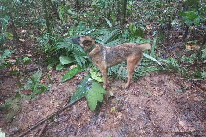 /Foto: arquivo pessoal
