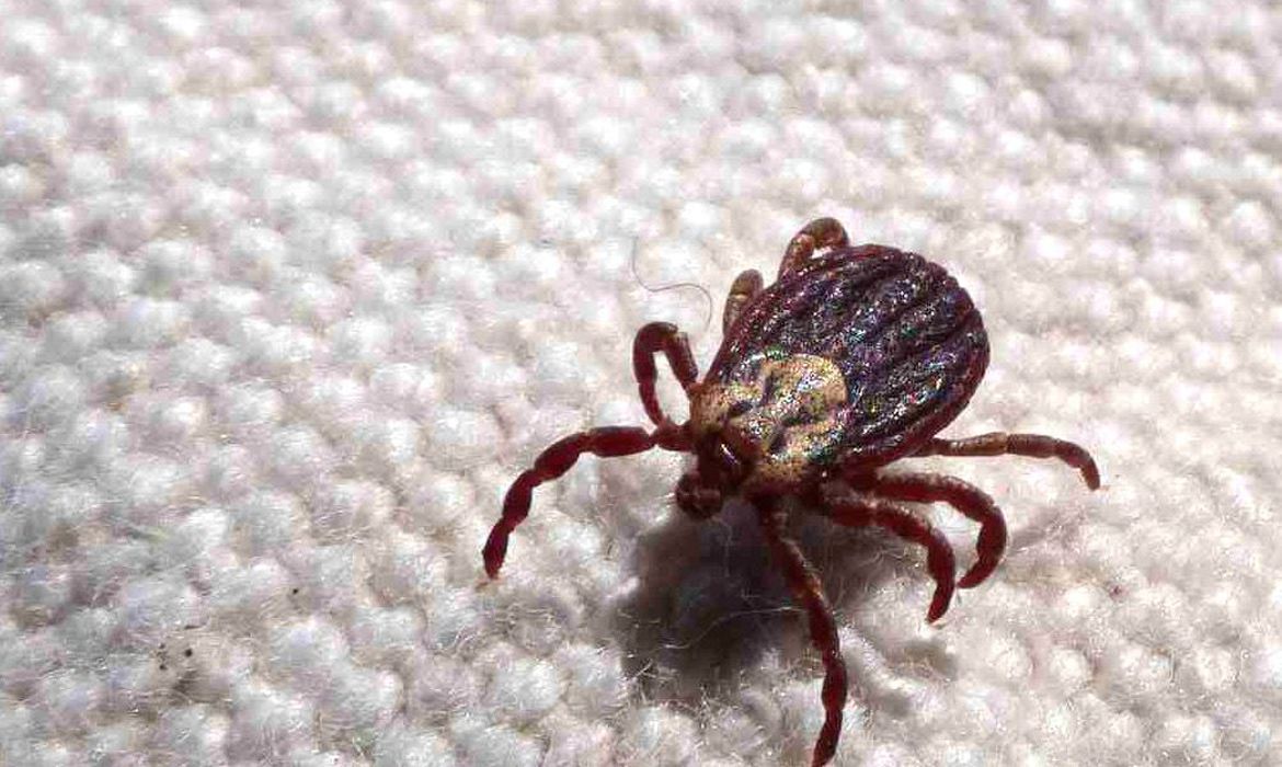 /Foto: Prefeitura de Jundiaí