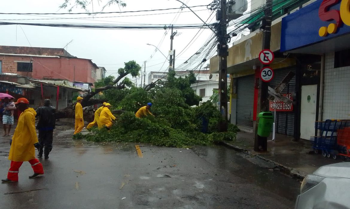 /Foto: Prefeitura do Recife/Twitter /Foto: Prefeitura do Recife/Twitter