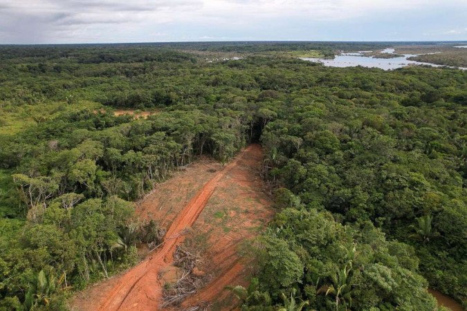 /Foto: Alberto César Araújo/Amazônia Real /Foto: Alberto César Araújo/Amazônia Real