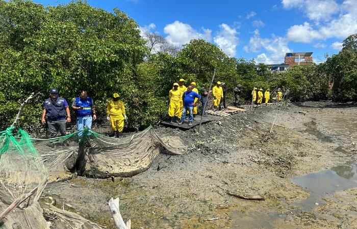 /Fotos: Secon/Divulgação