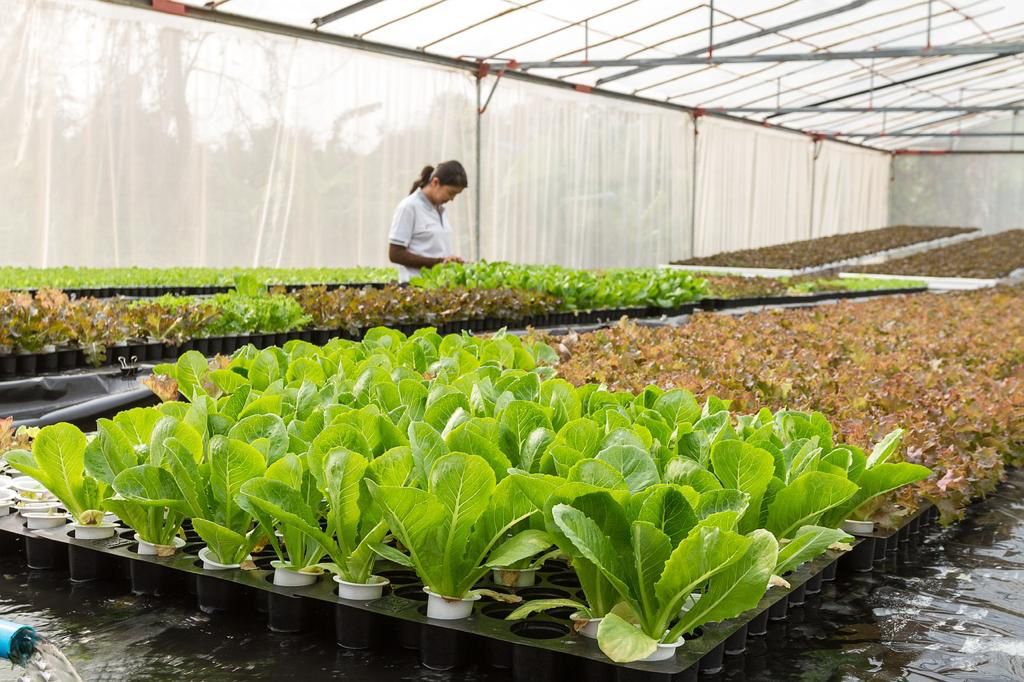Clientes que receberam mensagem em fatura têm até 30 de novembro para regularizar a situação e garantir desconto de até 73% na fatura de energia/Foto: Divulgação Clientes que receberam mensagem em fatura têm até 30 de novembro para regularizar a situação e garantir desconto de até 73% na fatura de energia/Foto: Divulgação