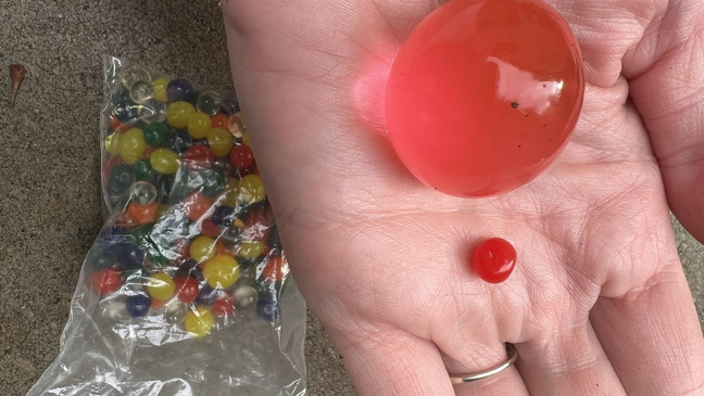 Orbeez é espécie de bolinha de gude em gel que cresce em contato com a água/foto: Reprodução/Redes sociais