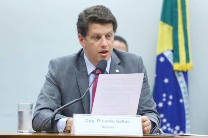 Salles comparou o MST a uma organização criminosa e até a uma facção que atua no tráfico de drogas/Vinicius Loures/Câmara dos Deputados