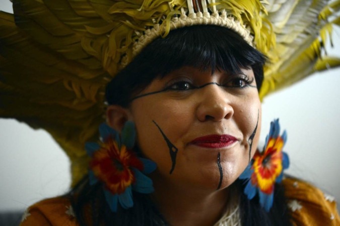 O texto, apresentado pela deputada Célia Xakriabá (Psol-MG), foi traduzido para a línguas Guarani-Kaiowá e Akwen/foto: Marcelo Ferreira/CB/D.A.Press