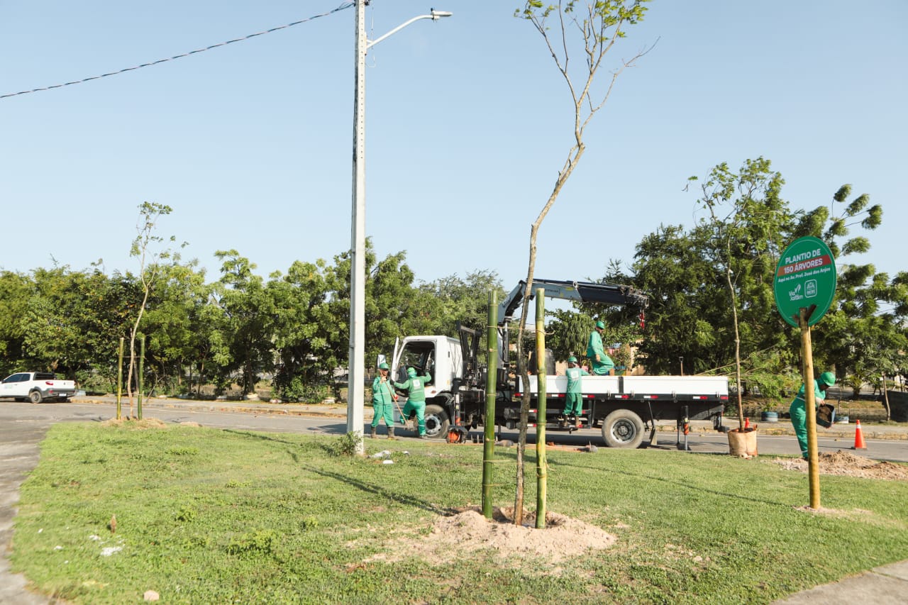 Árvores estão sendo plantadas na Avenida Professor José dos Anjos/Prefeitura do Recife/Divulgação Árvores estão sendo plantadas na Avenida Professor José dos Anjos/Prefeitura do Recife/Divulgação