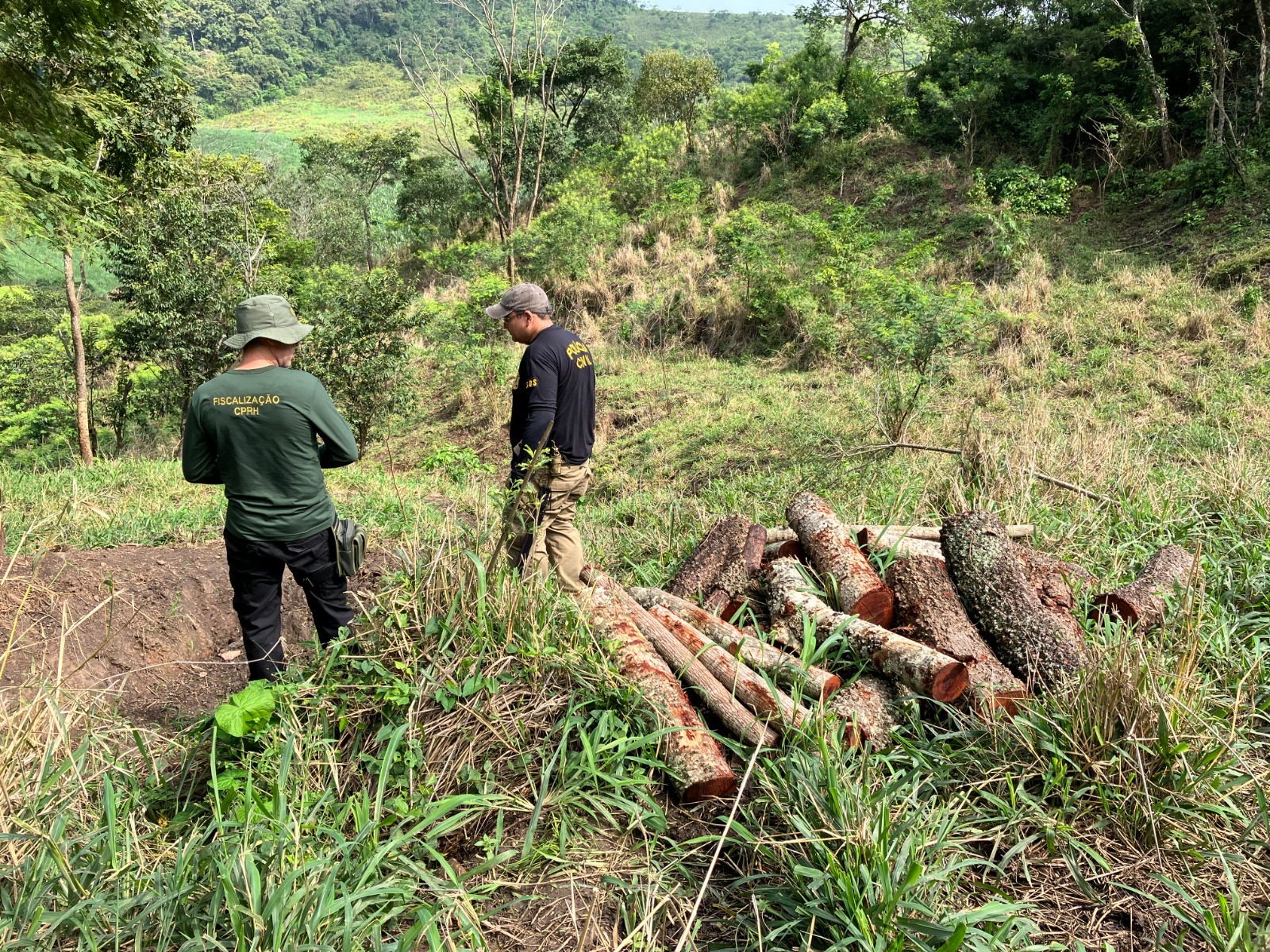 Balanço da ação Mata Atlântica em Pé, realizada em 22 cidades pernambucanas, foi divulgado nesta sexta (29)/Foto: Divulgação/MPPE. Balanço da ação Mata Atlântica em Pé, realizada em 22 cidades pernambucanas, foi divulgado nesta sexta (29)/Foto: Divulgação/MPPE.