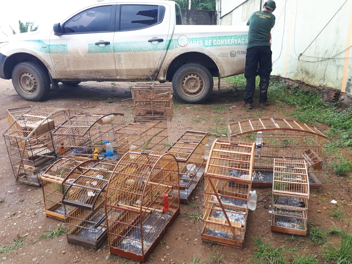 A meta foi coibir o contrabando ilegal do bioma. Mais de R$ 1,2 milhão em multas foram aplicadas aos infratores ambientais e 27 animais silvestres resgatados em cativeiro.