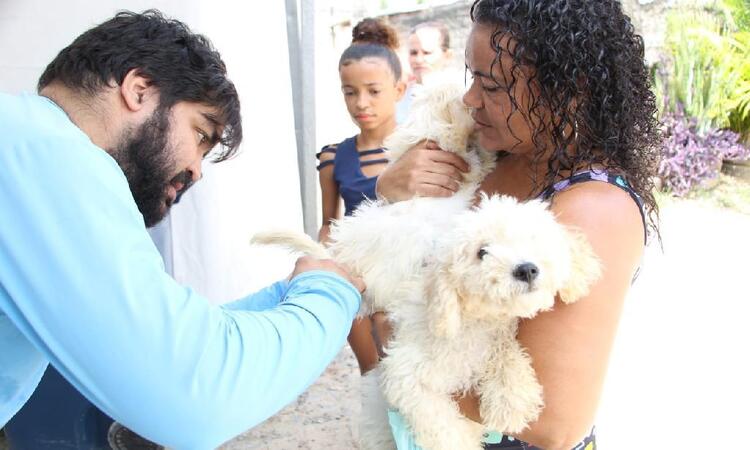 A pré-campanha contra a raiva animal será realizada a partir de quinta (5), em Paulista, no Grande Recife/Foto: Divulgação/Prefeitura de Paulista