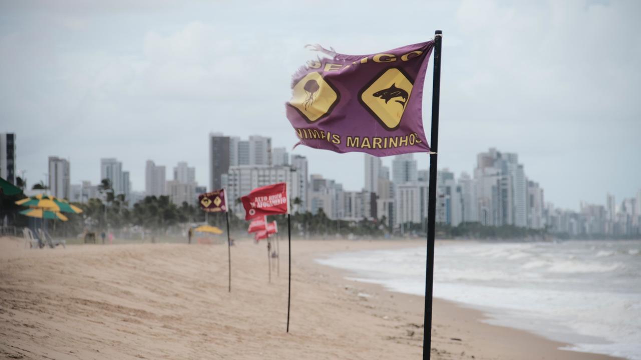 Cemit disse que costa pernambucana terá índices de maré alta, com ondas que poderão atingir a amplitude de 2 a 2,3 metros/Francisco Silva/Arquivo/DP Cemit disse que costa pernambucana terá índices de maré alta, com ondas que poderão atingir a amplitude de 2 a 2,3 metros/Francisco Silva/Arquivo/DP