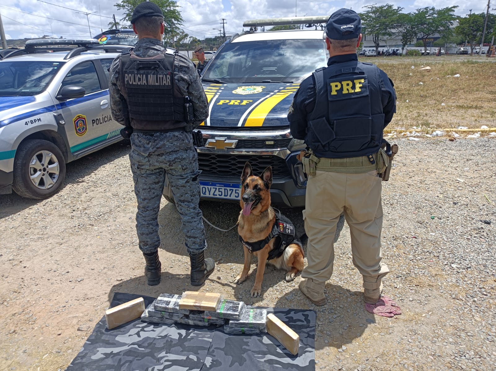 Os cães farejadores sinalizaram que a droga estava no painel do carro./Foto: Divulgação/PRF Os cães farejadores sinalizaram que a droga estava no painel do carro./Foto: Divulgação/PRF