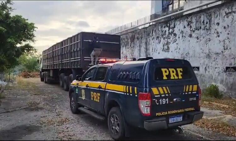 A mercadoria ilícita era transportada em uma carreta  abordada pelos agentes enquanto circulava pela BR-101, em Igarassu/Foto: Divulgação