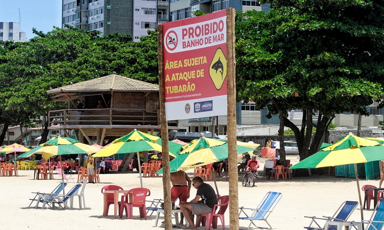 O Comitê Estadual de Monitoramento de Incidentes com Tubarões (Cemit) contabiliza e monitora os incidentes sistematicamente desde 1992/Foto: Rômulo Chico/DP foto O Comitê Estadual de Monitoramento de Incidentes com Tubarões (Cemit) contabiliza e monitora os incidentes sistematicamente desde 1992/Foto: Rômulo Chico/DP foto