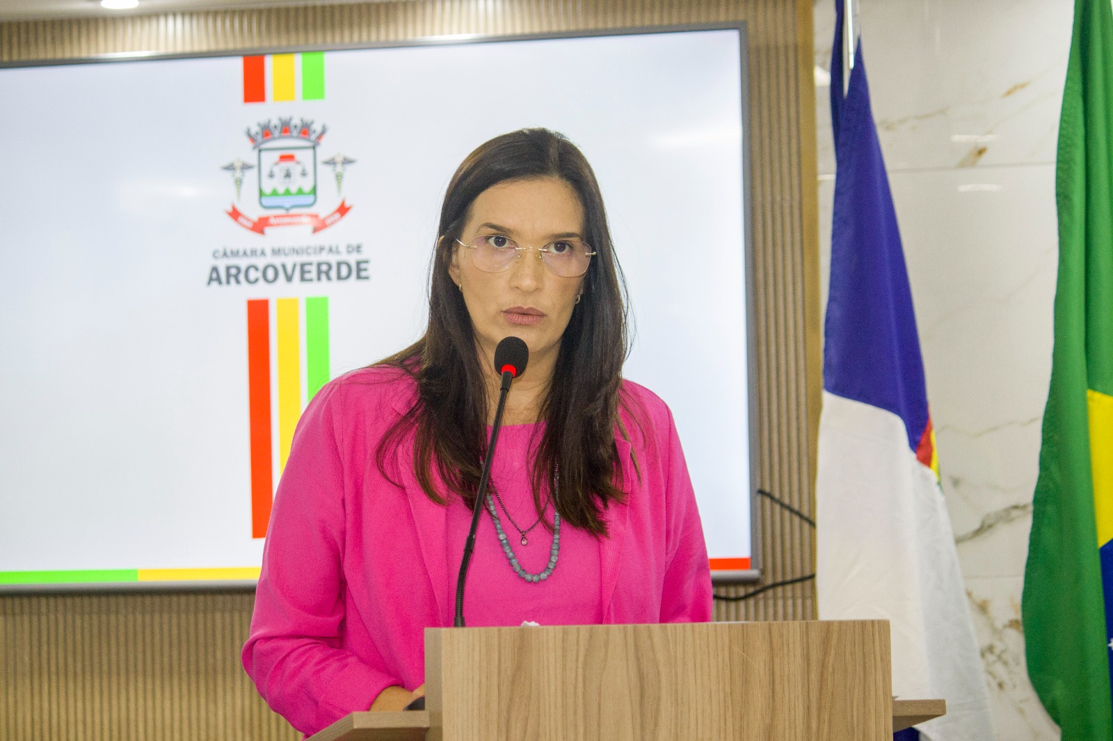 A declaração de Zirleide em sessão plenária, no dia 30 de outubro, repercutiu nacionamente./Câmara de Vereadores de Arcoverde A declaração de Zirleide em sessão plenária, no dia 30 de outubro, repercutiu nacionamente./Câmara de Vereadores de Arcoverde