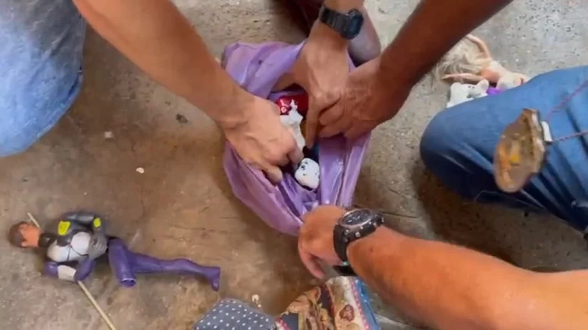 Os investigadores encontraram um tablete de maconha, porções de crack e aproximadamente R$ 500 em espécie/Foto: Reprodução/PCGO Os investigadores encontraram um tablete de maconha, porções de crack e aproximadamente R$ 500 em espécie/Foto: Reprodução/PCGO