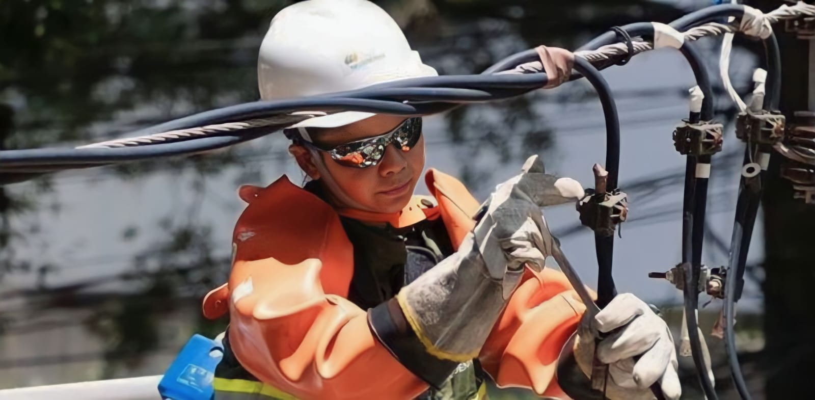 /Foto: Divulgação/Neoenergia /Foto: Divulgação/Neoenergia