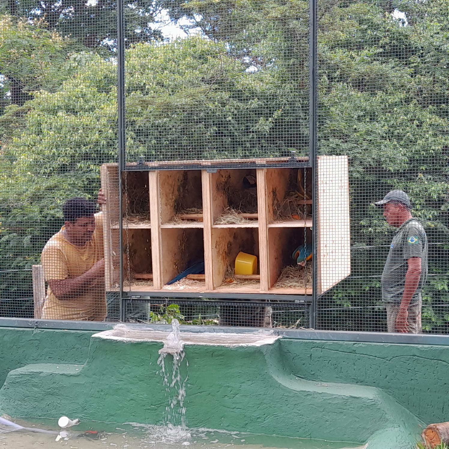Aves deixaram centro de tratamento e foram para o Centro-Oeste brasileiro/Foto: CPRH/Divulgação