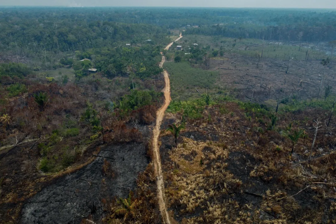 Amazônia brasileira registrou 13.943 incêndios florestais em novembro (Foto: MICHAEL DANTAS / AFP) Amazônia brasileira registrou 13.943 incêndios florestais em novembro/Foto: MICHAEL DANTAS / AFP