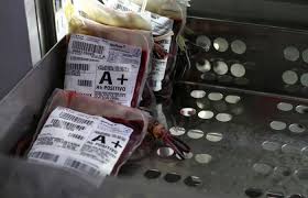 Hemope precisa sangue para o fim de ano/Foto: Arquivo/DP