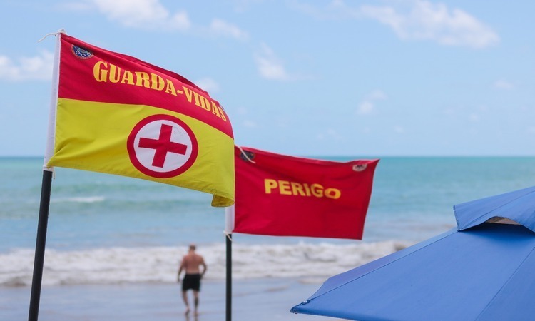 Este ano três pessoas foram atacadas no litoral pernambucano