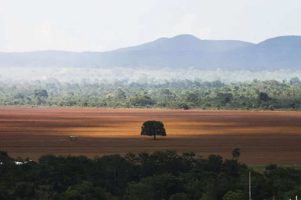 Índices dizem respeito ao período total de desmatamentos de janeiro a dezembro/Foto: Marcelo Camargo/Agência Brasil Índices dizem respeito ao período total de desmatamentos de janeiro a dezembro/Foto: Marcelo Camargo/Agência Brasil