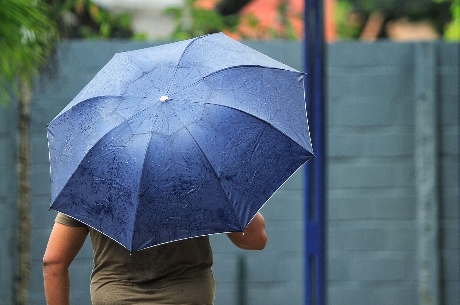 &Eacute; preciso sair de casa com o guarda-chuva nesta quinta (11)/Foto: Romulo Chico/DP