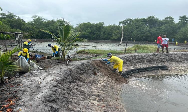 Foram desativados três viveiros clandestinos de camarão nas proximidades do Parque dos Manguezais, na Zona Sul/Foto: Divulgação/PCR Foram desativados três viveiros clandestinos de camarão nas proximidades do Parque dos Manguezais, na Zona Sul/Foto: Divulgação/PCR